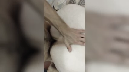 Моя домашка с женой